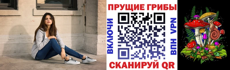 как найти закладки  Барнаул  Галлюциногенные грибы Cubensis 